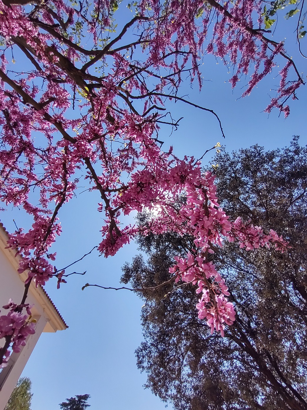 No s'ha trobat l'arxiu